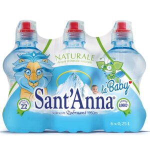 Acqua sant'anna nat 0,25 l p&p - sorgente rebruant - Sant'Anna