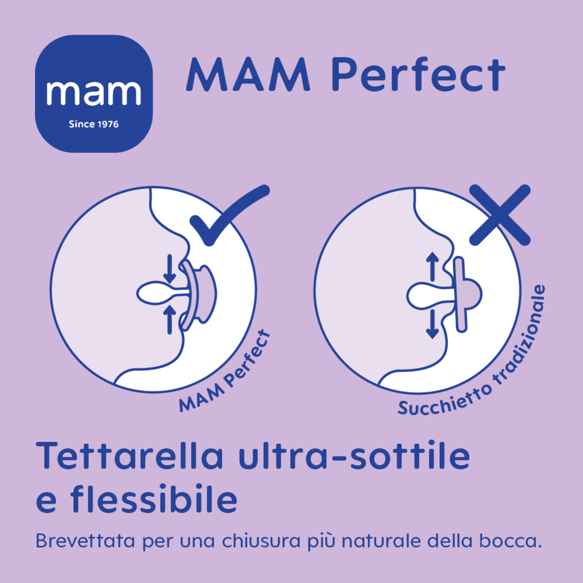 Combi pack succhietto perfect 16+ mesi + clip it! colori assortiti - mam - Mam