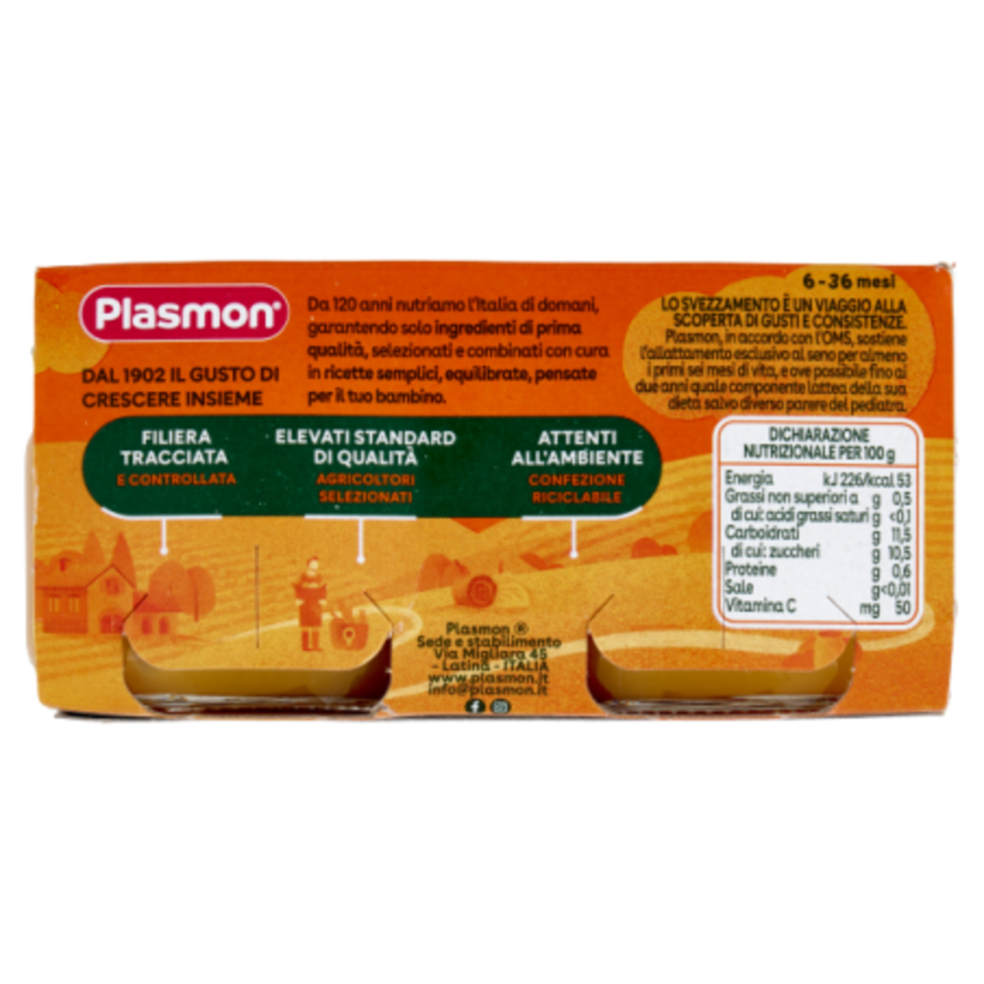 Omogeneizzato mela albicocca 2 x 80 g - plasmon - Plasmon